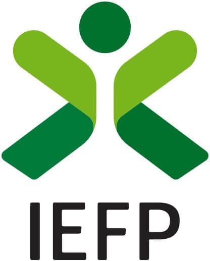 IEFP - Instituto do Emprego e Formação Profissional